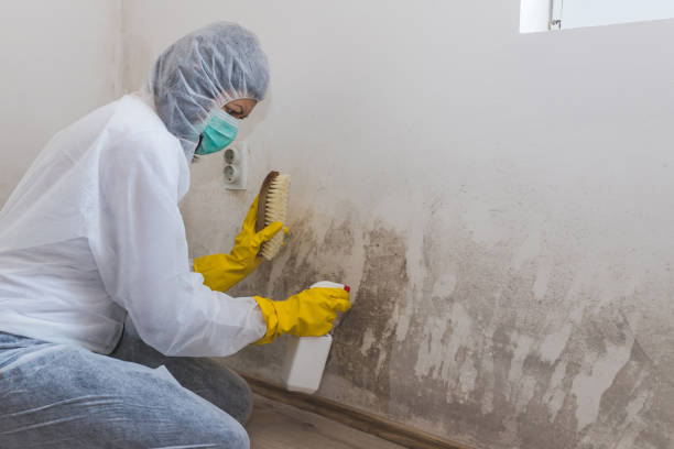 Best Mold Removal Process  in Las Lomas, TX